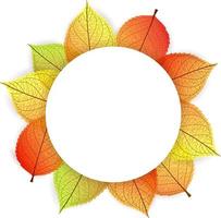 Background with stylize autumn leaves vector