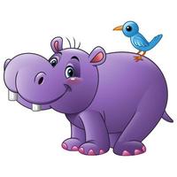 Cartoon funny hippo with bird vector