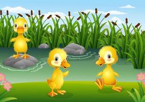 Cartoon little ducklings playing in the pond vector