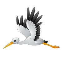 Cartoon stork flying vector