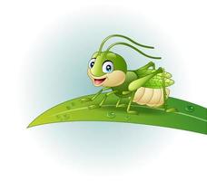 Cartoon grasshopper on leaf vector