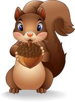 Cartoon squirrel holding acorn vector