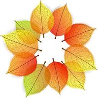 Background with stylize autumn leaves vector