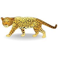 Cute cheetah cartoon vector
