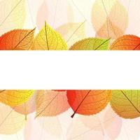 Background with stylized autumn leaves vector