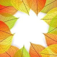 Background with stylize autumn leaves vector