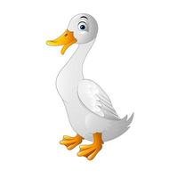 cartoon white duck vector