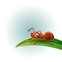 hormiga de dibujos animados en la hoja vector