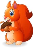 Cartoon funny squirrel holding acorn vector