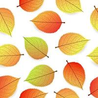 Background with stylized autumn leaves vector