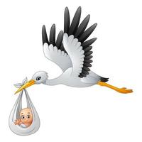 Cartoon stork carrying baby vector