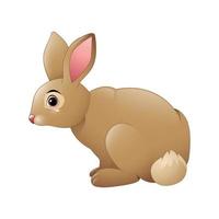 Cute rabbit cartoon vector