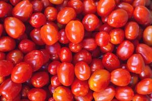 bunch of red cherry tomatoes premium photo