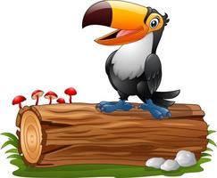 Cartoon funny toucan standing on tree log vector