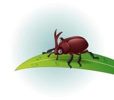 Cartoon rhino beetle on leaf vector