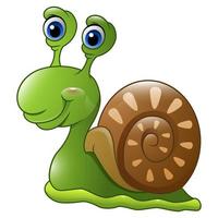 Cute snail cartoon vector