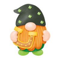 aquarelle st. patrick's day gnomes clipart, peinture numérique png