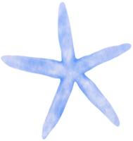 Starfish or sea stars watercolor illustration png