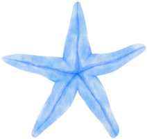 illustrazione dell'acquerello di stelle marine o stelle marine png