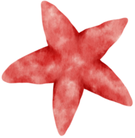 Starfish or sea stars watercolor illustration png
