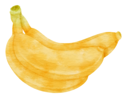 fruta de plátano acuarela para elemento decorativo png