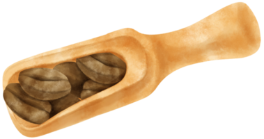 granos de café tostados de acuarela en cuchara de madera png