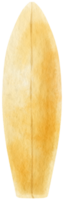 surfplank sportuitrusting aquarel strand item png