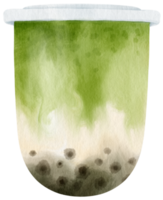 chá verde matcha bolha chá ilustração em aquarela png