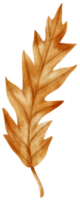 folha de outono em aquarela para decoração png