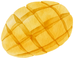 acquerello di frutta mango per elemento decorativo png