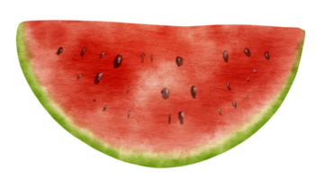 Slice of watermelon ripe fruit watercolor style for summer Decorative Element png