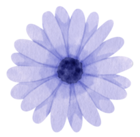 acuarela de flor azul pintada para elemento decorativo png