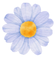 acuarela de flor azul pintada para elemento decorativo png