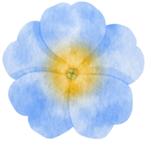 blå blomma akvarell målad för dekorativt element png