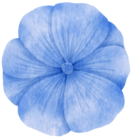 aquarela de flor azul pintada para elemento decorativo png