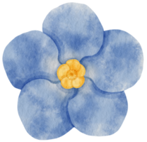 aquarela de flor azul pintada para elemento decorativo png