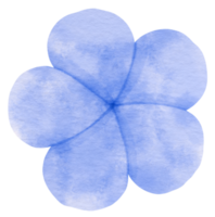 acuarela de flor azul pintada para elemento decorativo png