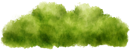 bush aquarel handgeschilderd png