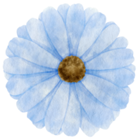 aquarelle fleur bleue peinte pour élément décoratif png