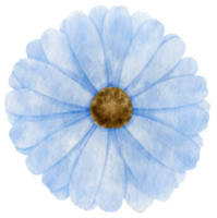 aquarela de flor azul pintada para elemento decorativo png