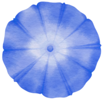 acuarela de flor azul pintada para elemento decorativo png