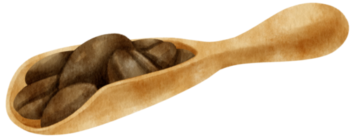 watercolor Roasted coffee beans in wooden scoop png