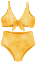illustration aquarelle de maillot de bain bikini mignon png