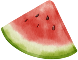 wassermelonenfruchtaquarell für dekoratives element png