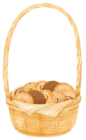 cesto di biscotti ad acquerello png