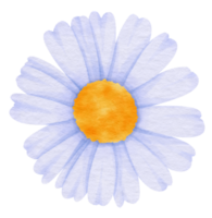 blå blomma akvarell målad för dekorativt element png