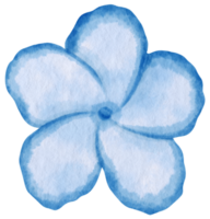 Blue flower watercolor painted for Decorative Element png