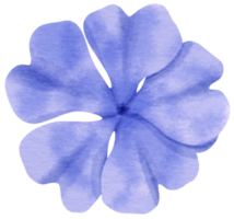 acuarela de flor azul pintada para elemento decorativo png