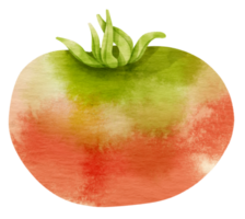 style aquarelle de tomate pour élément décoratif de thanksgiving png