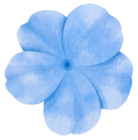 acuarela de flor azul pintada para elemento decorativo png